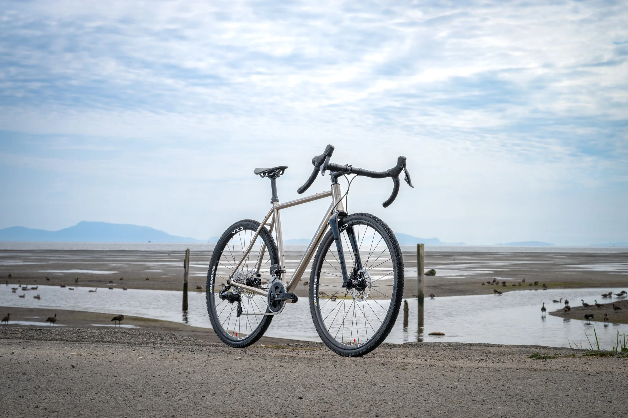 Romax Ti 2.0 RIVAL AXS — Brodie Bicycles